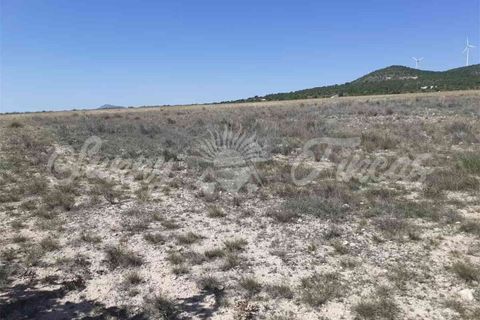 Ruinere i Yecla, Murcia, Yecla - € 19.000 | Ref: SF0406 - foto 2